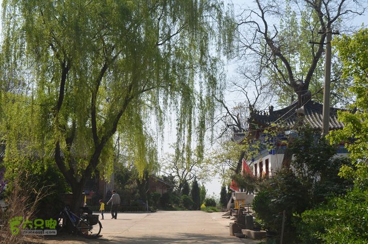 骑行周至九峰乡登虎头山魁星楼DSC_0173