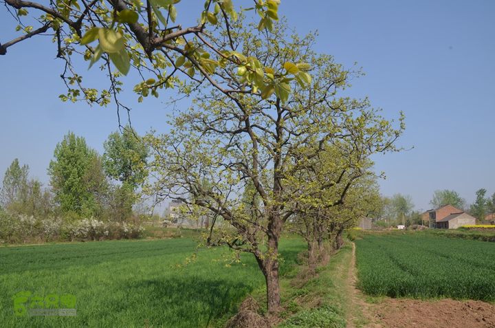 骑行周至九峰乡登虎头山魁星楼DSC_0174
