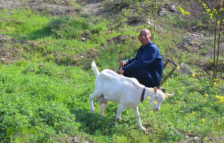 骑行周至九峰乡登虎头山魁星楼DSC_0180