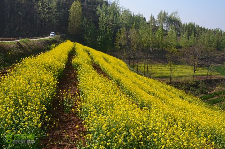 骑行周至九峰乡登虎头山魁星楼DSC_0183