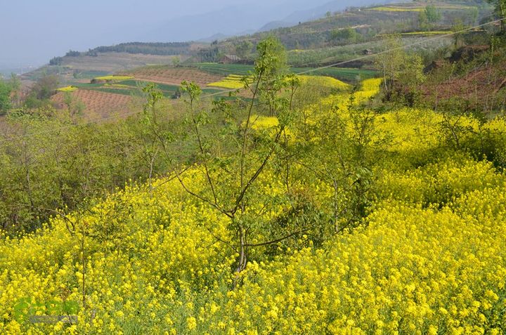 骑行周至九峰乡登虎头山魁星楼DSC_0190