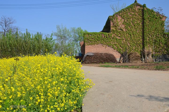 骑行周至九峰乡登虎头山魁星楼DSC_0191