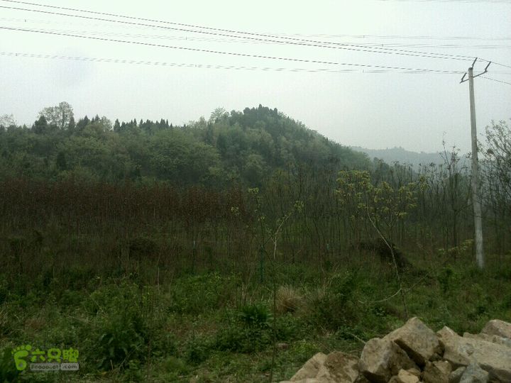 成都危废地灾范围调胡家咀