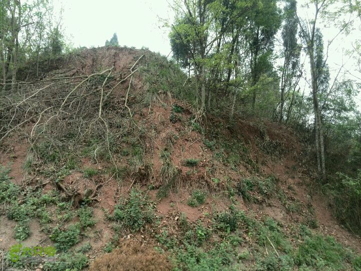 成都危废地灾范围调D10