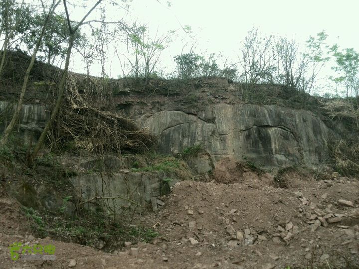 成都危废地灾范围调 D11