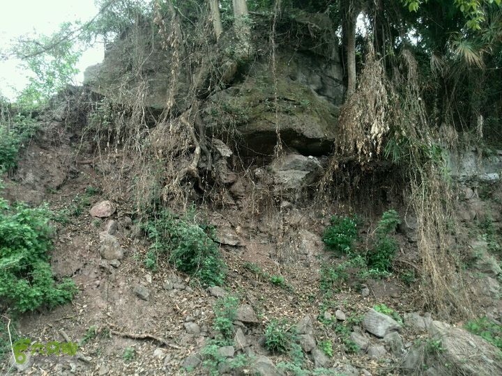 成都危废地灾范围调D12