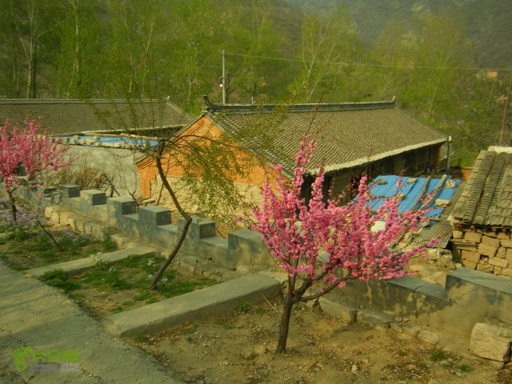 上虎叫—马蹄湾村—五座山—庙上村DSCF0205