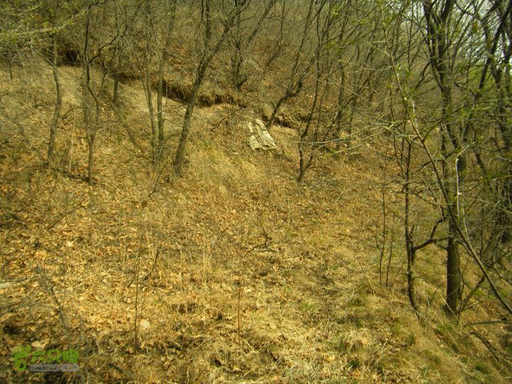 上虎叫—马蹄湾村—五座山—庙上村DSCF0160