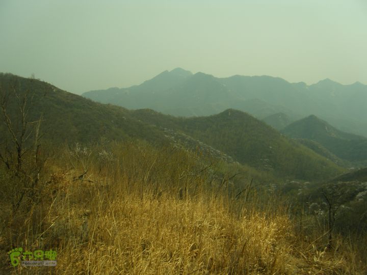 上虎叫—马蹄湾村—五座山—庙上村DSCF0165