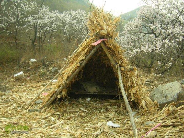 上虎叫—马蹄湾村—五座山—庙上村DSCF0185