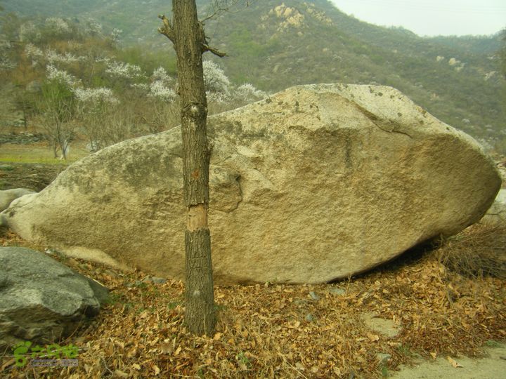 上虎叫—马蹄湾村—五座山—庙上村DSCF0187