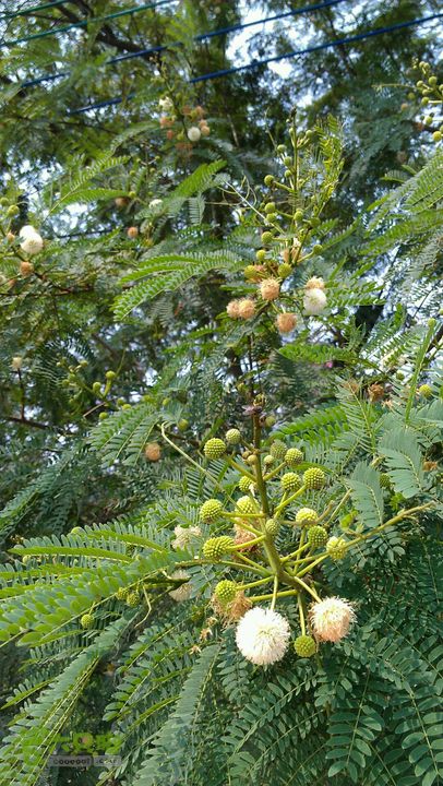 灯笼纱徒步(灯笼路口-竹排村)2014-04-13 11:05:27