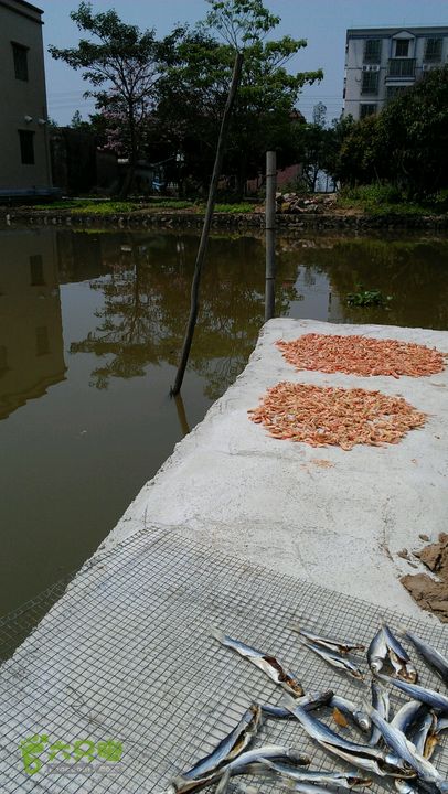 灯笼纱徒步(灯笼路口-竹排村)2014-04-13 11:10:12