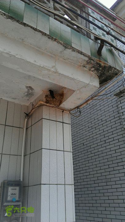 灯笼纱徒步(灯笼路口-竹排村)2014-04-13 11:13:51谁家堂前燕