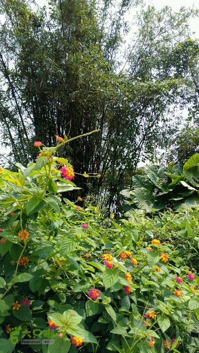 灯笼纱徒步(灯笼路口-竹排村)2014-04-13 11:14:47