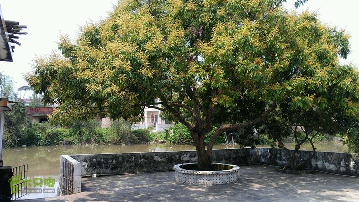 灯笼纱徒步(灯笼路口-竹排村)2014-04-13 11:15:51