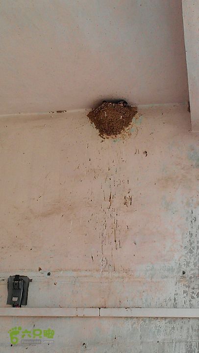 灯笼纱徒步(灯笼路口-竹排村)2014-04-13 11:16:54正宗燕窝~