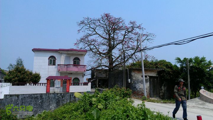 灯笼纱徒步(灯笼路口-竹排村)2014-04-13 11:24:24