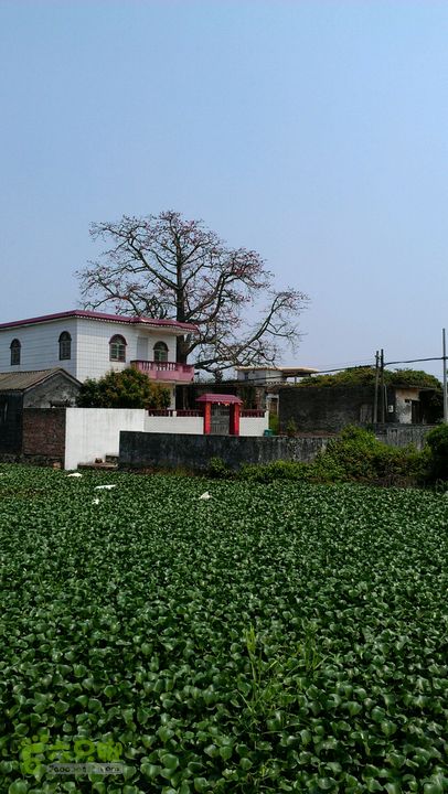 灯笼纱徒步(灯笼路口-竹排村)2014-04-13 11:25:00