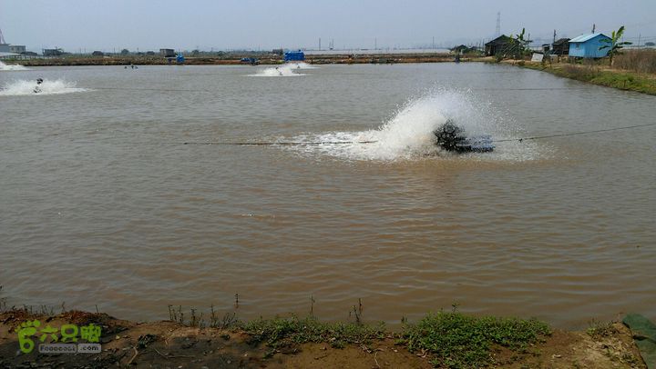 灯笼纱徒步(灯笼路口-竹排村)2014-04-13 11:31:38