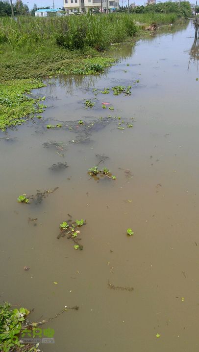 灯笼纱徒步(灯笼路口-竹排村)2014-04-13 11:34:11