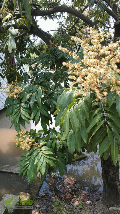 灯笼纱徒步(灯笼路口-竹排村)2014-04-13 11:35:51