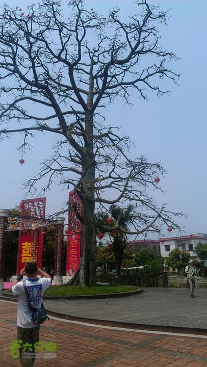 灯笼纱徒步(灯笼路口-竹排村)2014-04-13 11:48:08