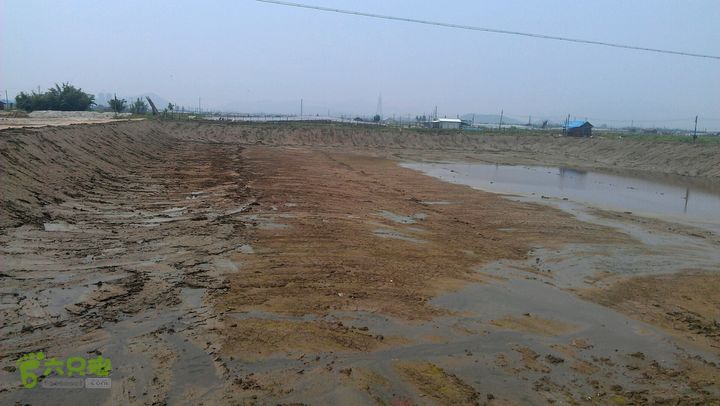 灯笼纱徒步(灯笼路口-竹排村)2014-04-13 12:09:10抽干水的鱼塘