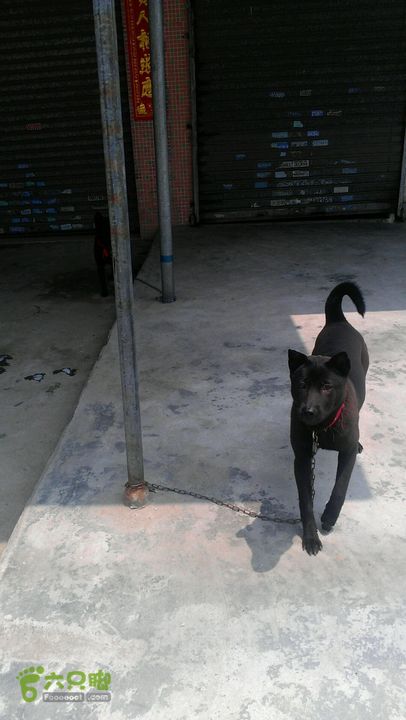 灯笼纱徒步(灯笼路口-竹排村)2014-04-13 12:21:38