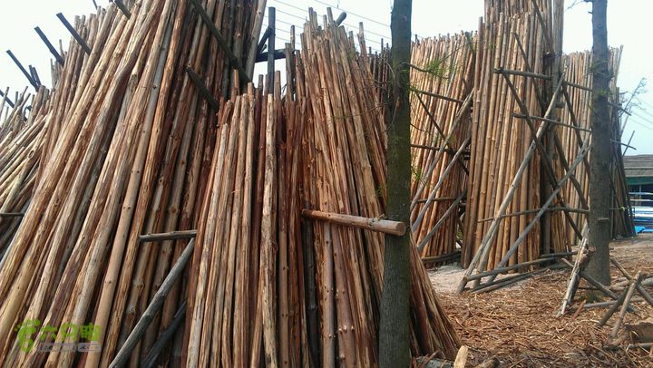 灯笼纱徒步(灯笼路口-竹排村)2014-04-13 12:29:51