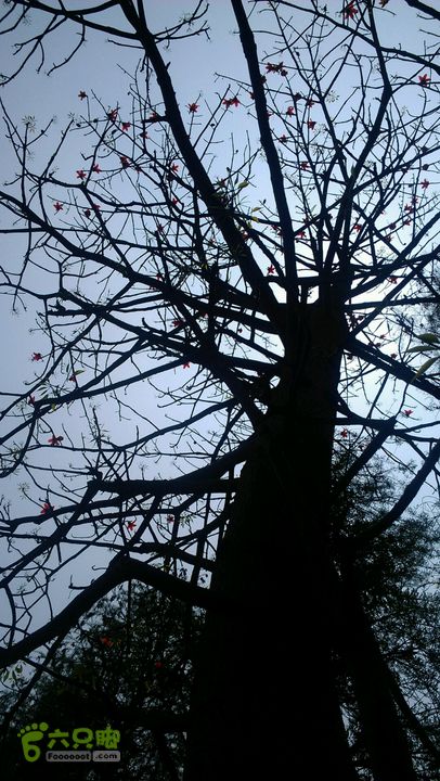 灯笼纱徒步(灯笼路口-竹排村)2014-04-13 12:32:12