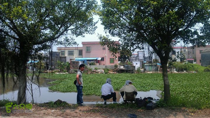 灯笼纱徒步(灯笼路口-竹排村)2014-04-13 12:33:29