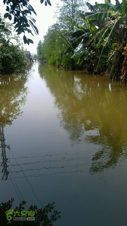 灯笼纱徒步(灯笼路口-竹排村)2014-04-13 12:34:49