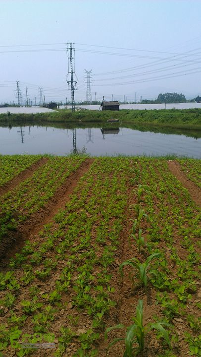 灯笼纱徒步(灯笼路口-竹排村)2014-04-13 12:38:44