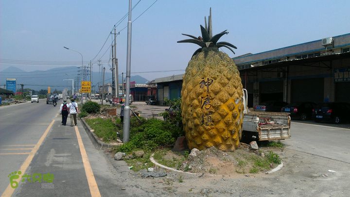 灯笼纱徒步(灯笼路口-竹排村)2014-04-13 13:29:25过桥后到达竹排村，已经是中山神湾镇的地界了，菠萝为证！