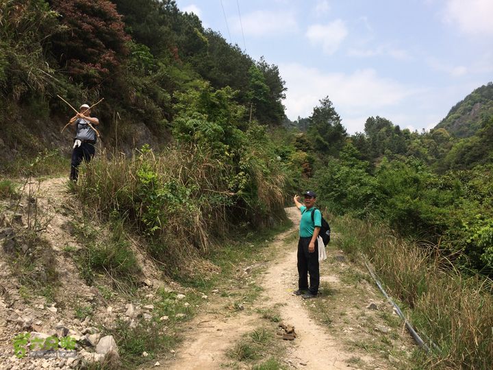 大洋乡崇兴村往返斗湖天池IMG_0871