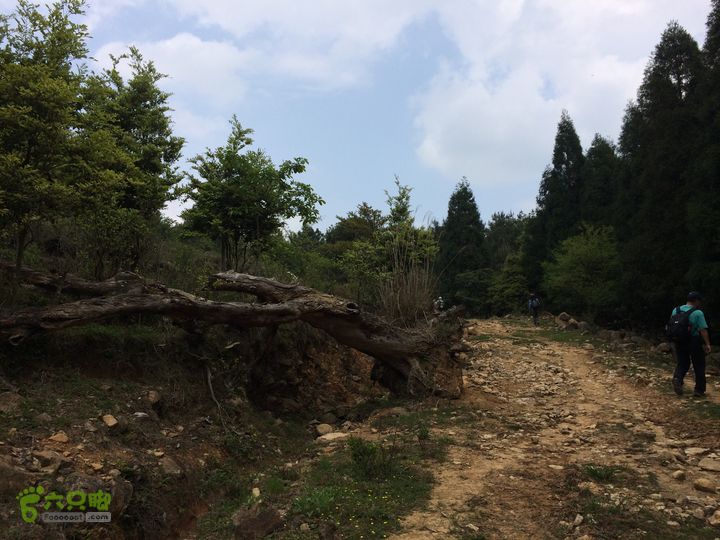 大洋乡崇兴村往返斗湖天池IMG_0879