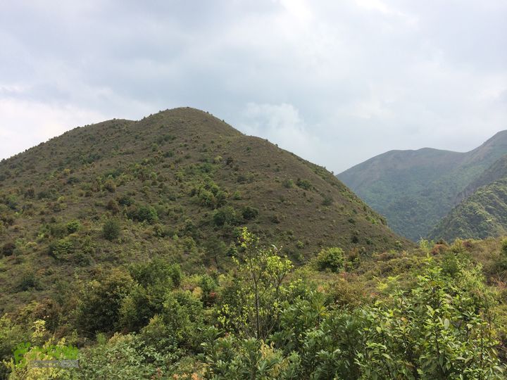 大洋乡崇兴村往返斗湖天池IMG_0891