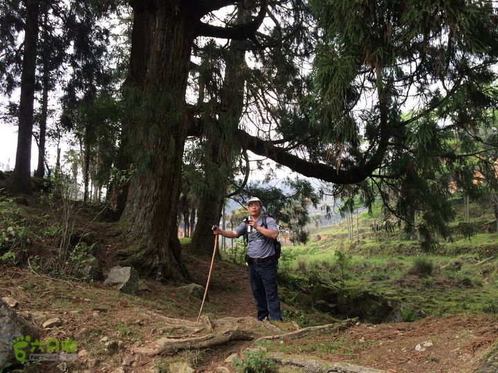 大洋乡崇兴村往返斗湖天池IMG_0898