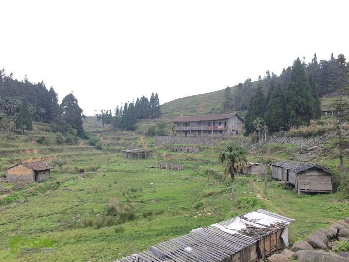 大洋乡崇兴村往返斗湖天池IMG_0906