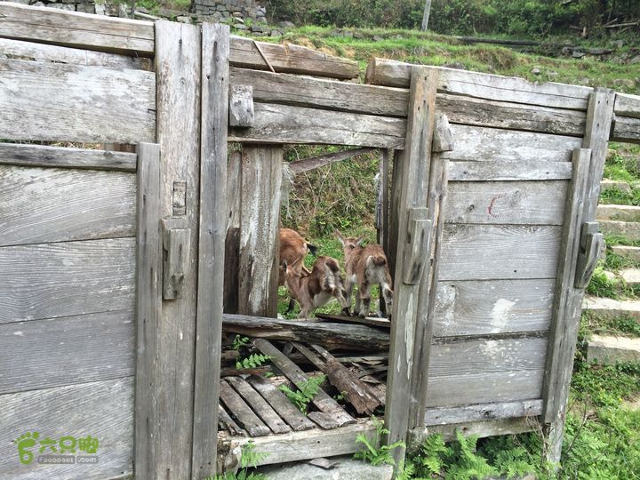 大洋乡崇兴村往返斗湖天池IMG_0907