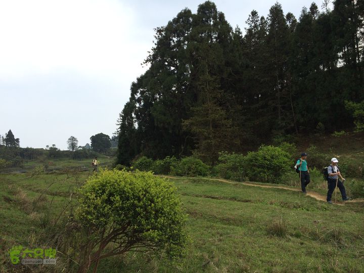 大洋乡崇兴村往返斗湖天池IMG_0909