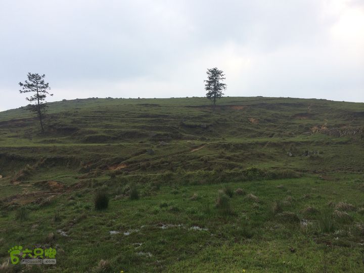 大洋乡崇兴村往返斗湖天池IMG_0920