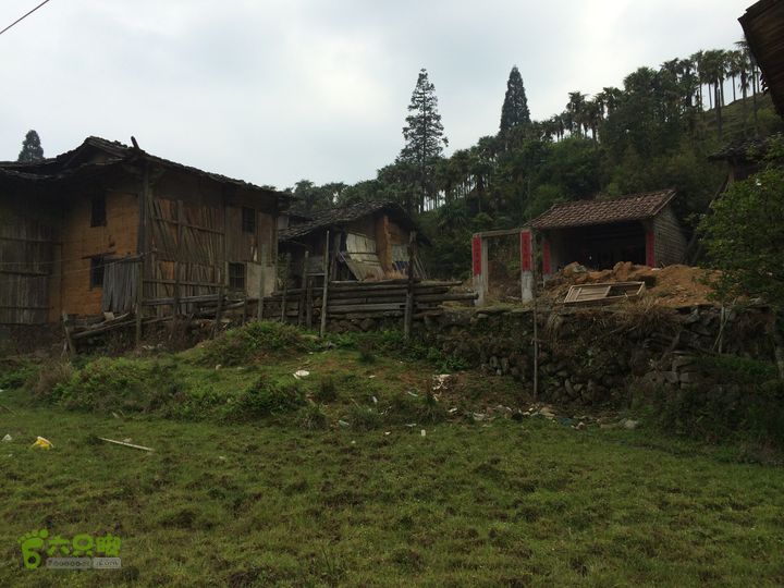 大洋乡崇兴村往返斗湖天池IMG_0926