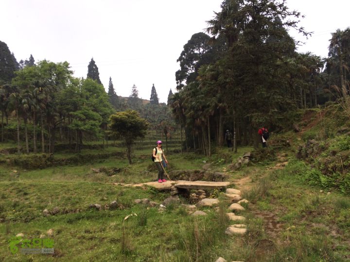 大洋乡崇兴村往返斗湖天池IMG_0927