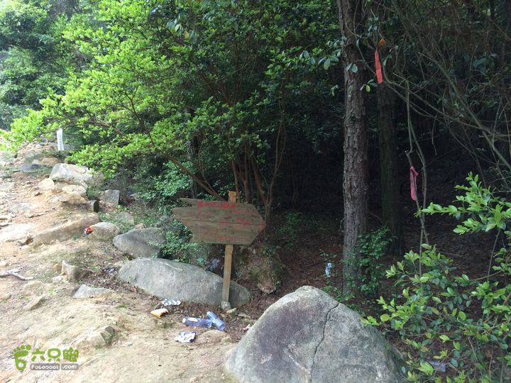 大洋乡崇兴村往返斗湖天池IMG_0932