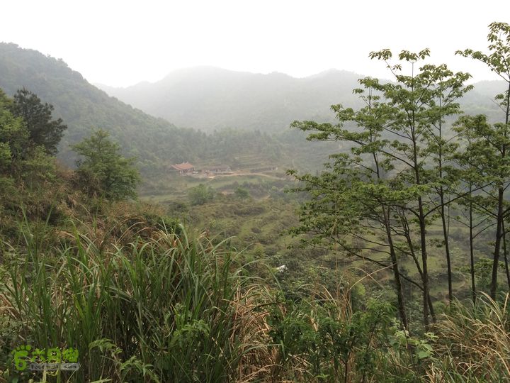 大洋乡崇兴村往返斗湖天池IMG_0936