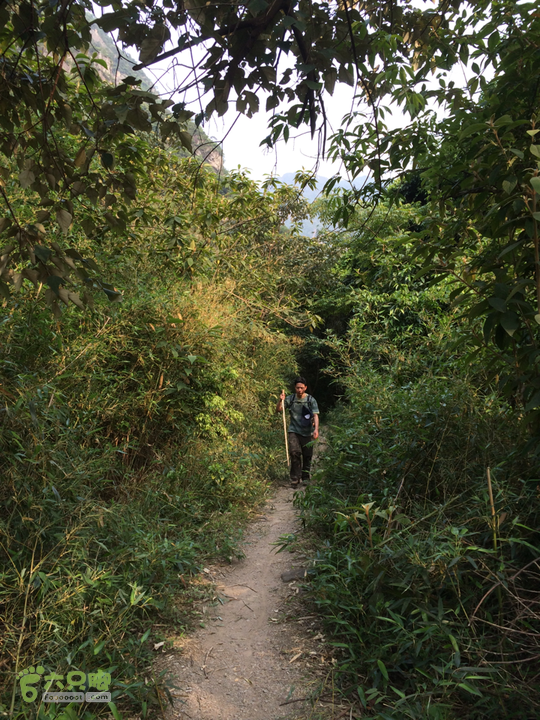 南阳林场穿越探迷十一重溪乌龙吐珠2014-04-19 15:52:12