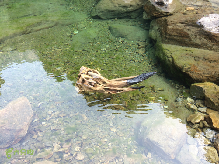 南阳林场穿越探迷十一重溪乌龙吐珠2014-04-19 15:38:28