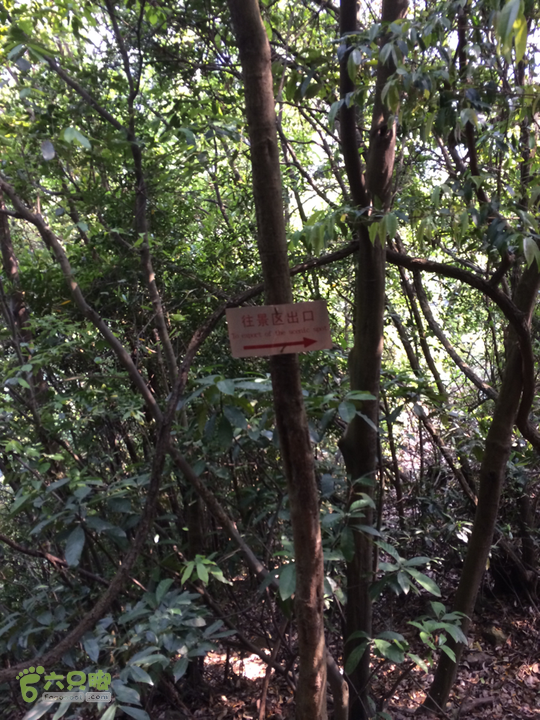 南阳林场穿越探迷十一重溪乌龙吐珠2014-04-19 14:25:01